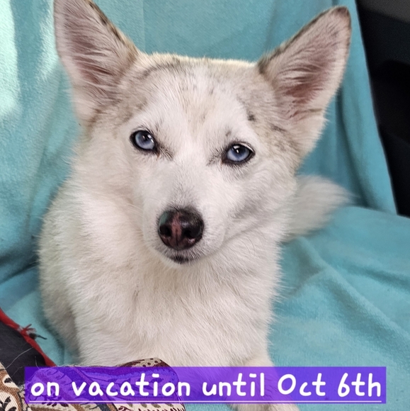 SALE SOON :) - Picture 1 of 1